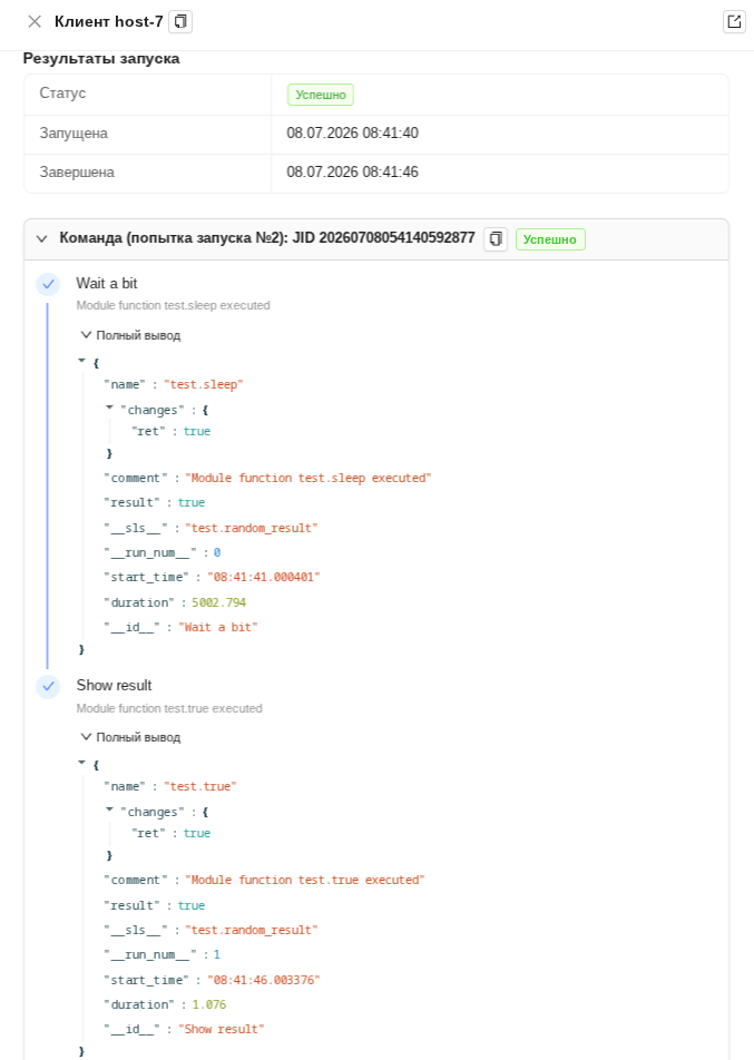 Вкладка “Результат запуска“ Вкладка "Результат запуска"