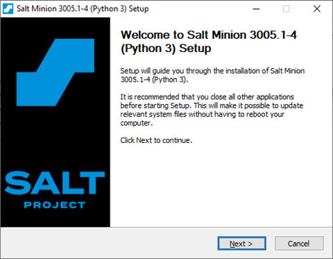 Стартовое окно инсталлятора службы salt-minion