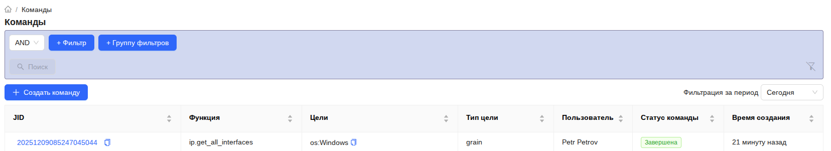 Выполненная команда на странице **Команды** Выполненная команда на странице Команды