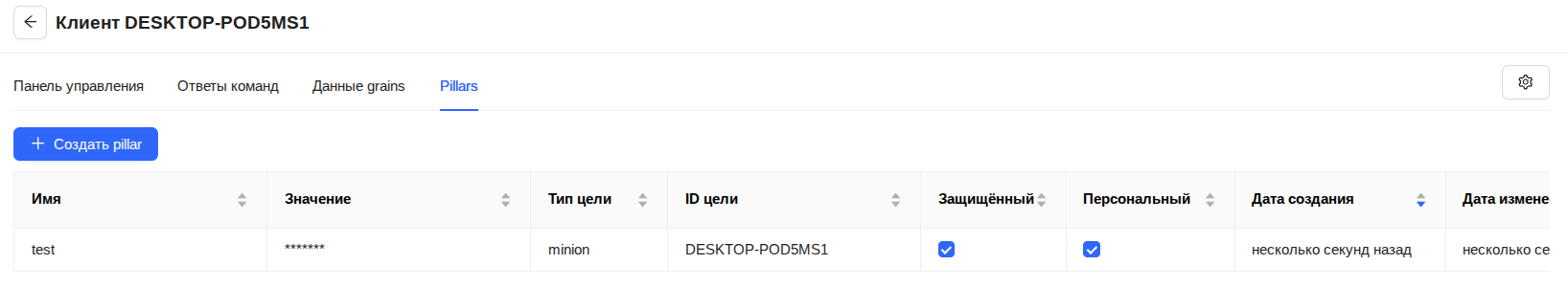 Созданный pillar на вкладке Pillars страницы карточки миньона